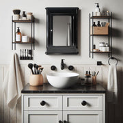 Ludwig Medicine Cabinet / Surface Mount
